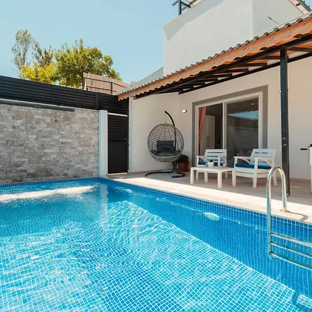 Mini Zeybek فيلة كاس